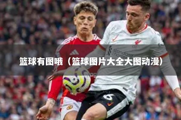 篮球有图哦（篮球图片大全大图动漫）