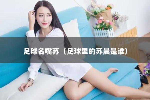 足球名嘴苏（足球里的苏晨是谁）